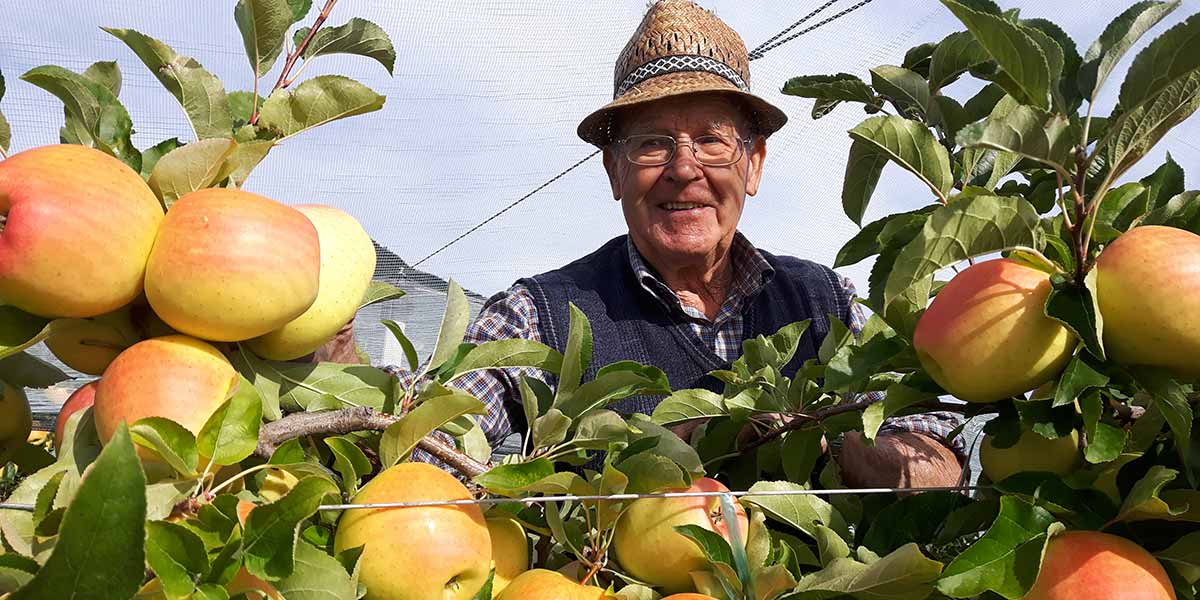 Nelle valli trentine è arrivato il tempo delle mele